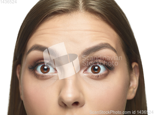 Image of Close up portrait of beautiful young woman face on white studio background