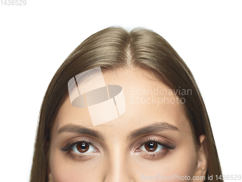 Image of Close up portrait of beautiful young woman face on white studio background