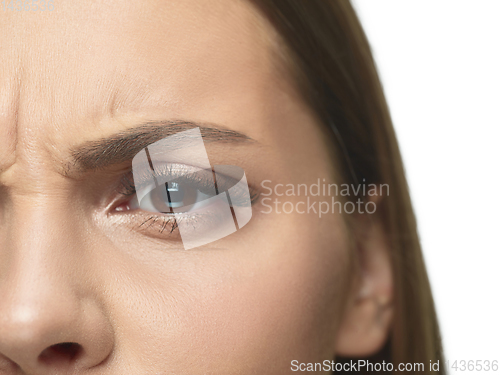 Image of Close up portrait of beautiful young woman face on white studio background