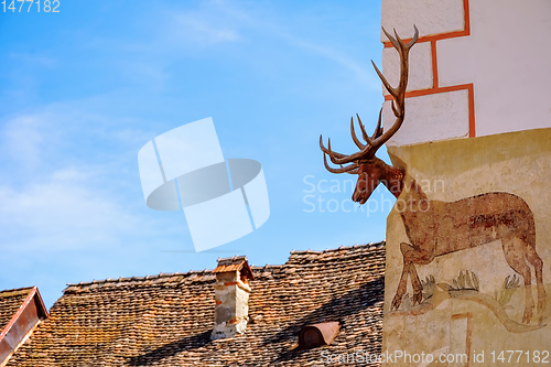 Image of Corner of a House with a Deer Head