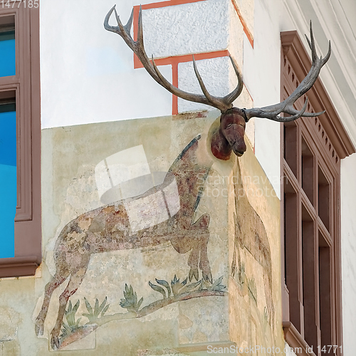 Image of Corner of a House with a Deer Head