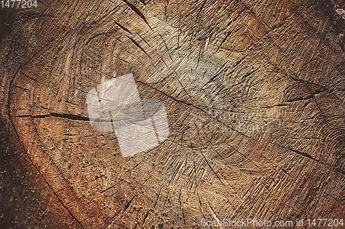 Image of Abstract Wooden Background