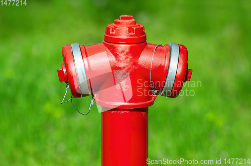 Image of Red fire hydrant