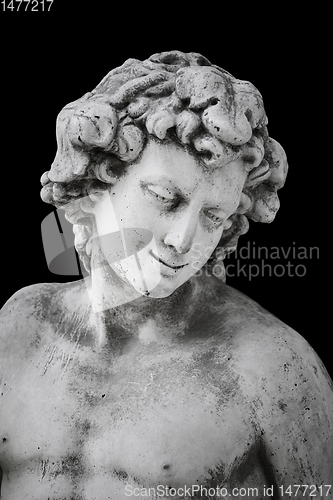 Image of Portrait of an ancient hero