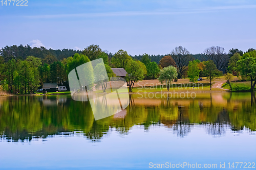 Image of Shore of the lake