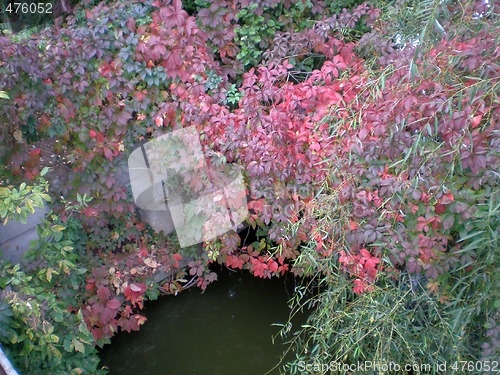 Image of Autumn colours