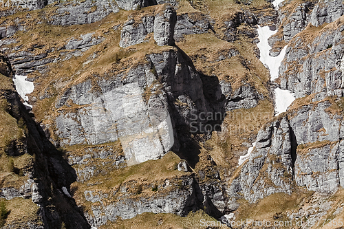 Image of Mountainside of Bucegi