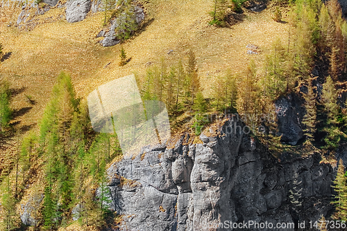 Image of Mountainside of Bucegi