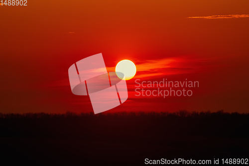 Image of Sunset over Forest