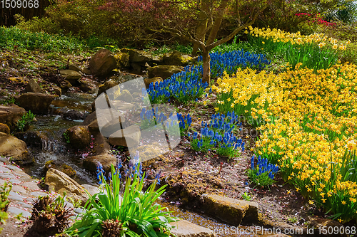 Image of Flower Bed in the Park