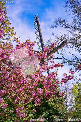 Image of Spring in the Netherlands