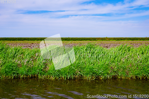 Image of Riverbank overgrown with grass