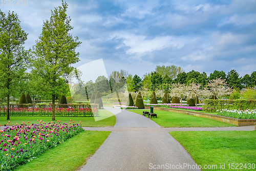 Image of Spring in the park