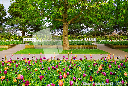 Image of Spring in the park