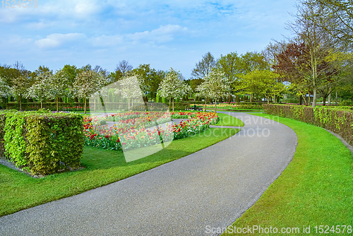 Image of Spring in the park