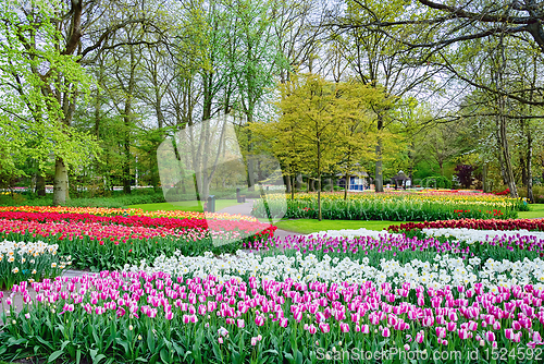 Image of Spring in the park