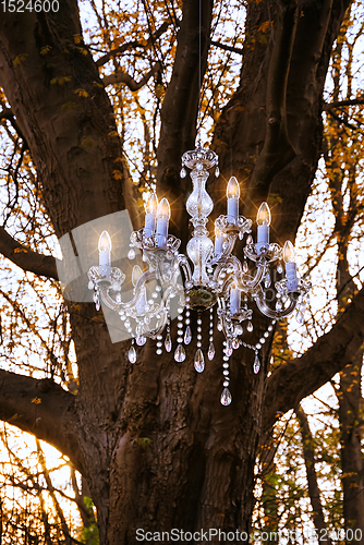 Image of Crystal Chandelier in the forest