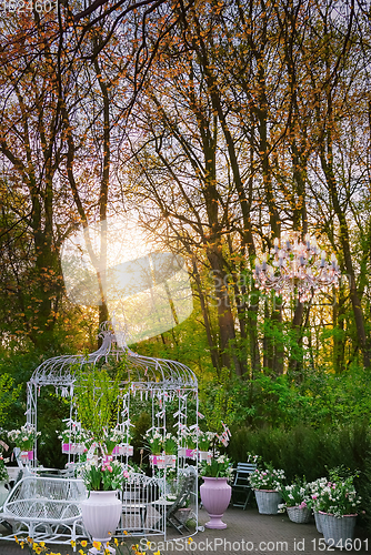 Image of Gazebo in the park