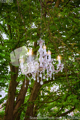 Image of Crystal Chandelier in the forest