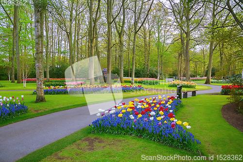 Image of Spring in the park