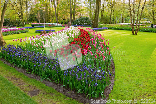 Image of Spring in the park