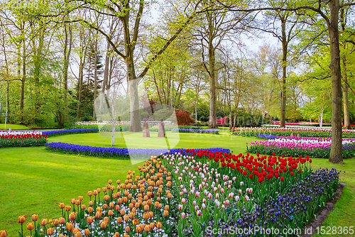 Image of Spring in the park