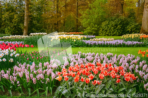 Image of Spring in the park