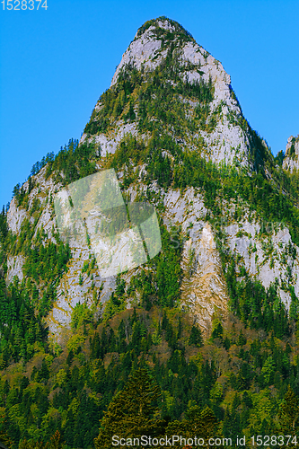 Image of Bucegi Mountains in Romania