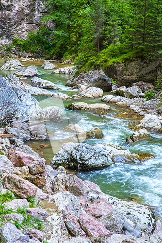 Image of Rocky mountain river in summer