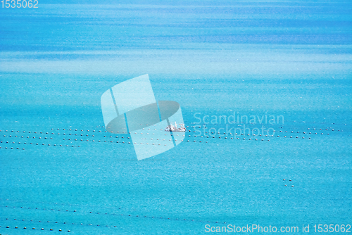 Image of Fishing in the Black sea