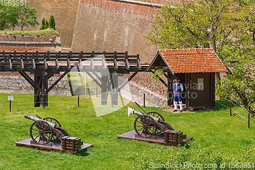 Image of Fortress Cannons in Alba Carolina Citadel,