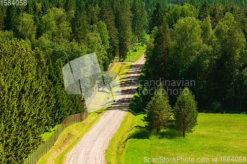 Image of Rural road in the forest