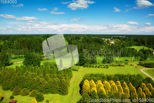 Image of Various plants and trees in arboretum