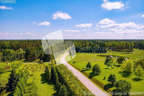 Image of Rural road in the forest