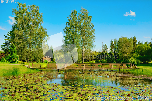 Image of Bridge over the pond