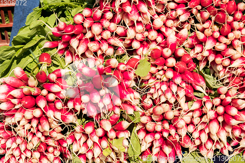 Image of bunch of fresh red radishes on a bio market