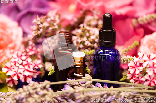 Image of flowers and bottles of essential oils for aromatherapy