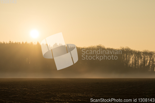 Image of country landscape in the morning in the mist