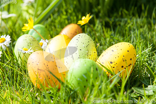 Image of colored Easter eggs hidden in flowers and grass