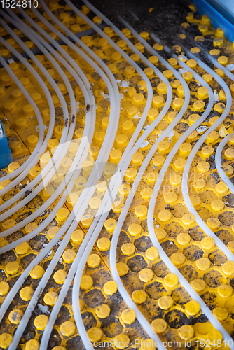 Image of yellow underfloor heating installation with white pipes