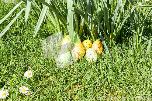 Image of colored Easter eggs hidden in flowers and grass