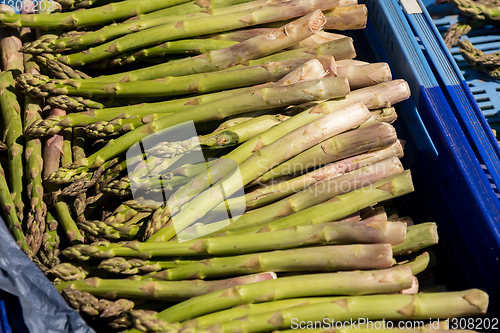 Image of crate of fresh green asparagus on a market