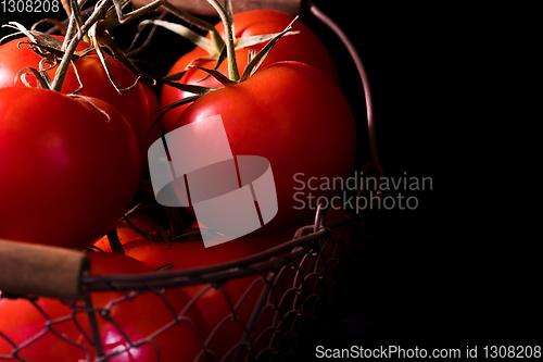 Image of big red tomatoes on black background in light dark ready to cook