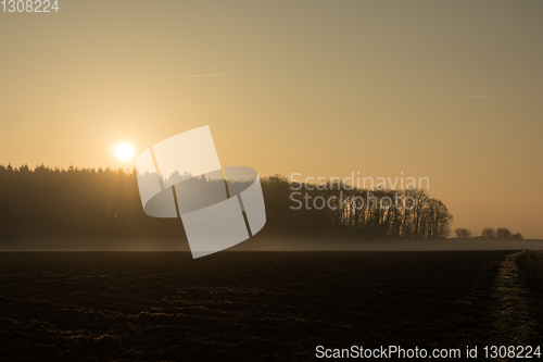 Image of country landscape in the morning in the mist