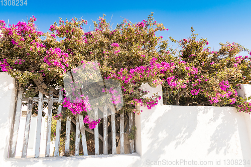 Image of typical architecture of houses on the island of Santorini in Gre