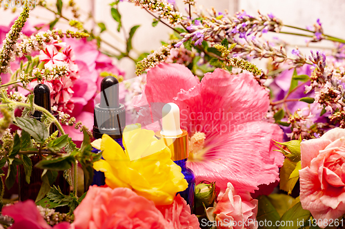 Image of flowers and bottles of essential oils for aromatherapy