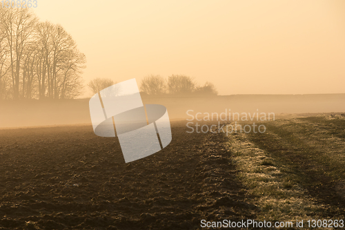 Image of country landscape in the morning in the mist