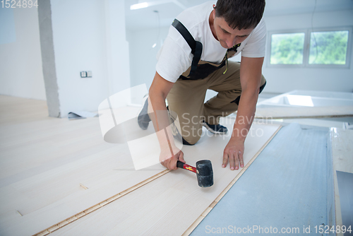 Image of Professional Worker Installing New Laminated Wooden Floor