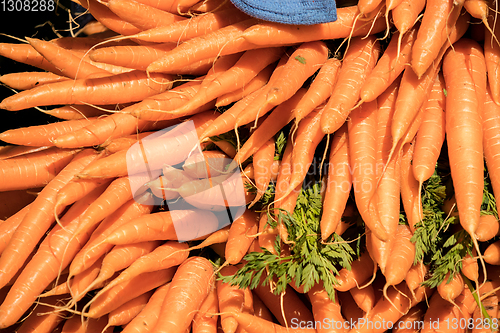 Image of bunches of fresh carrots on a market stall