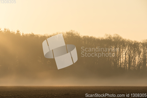 Image of country landscape in the morning in the mist